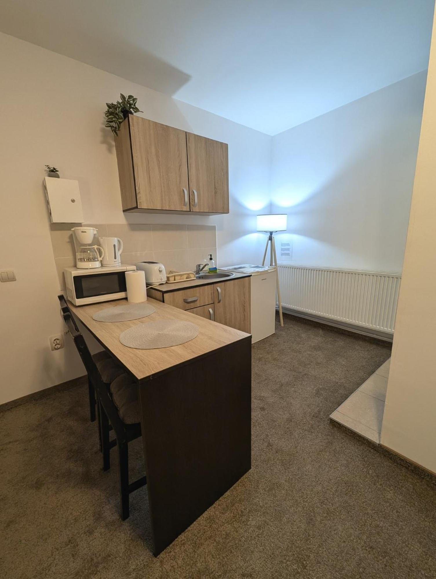 Sandor Central Studio Apartment Târgu-Mureş Exterior foto